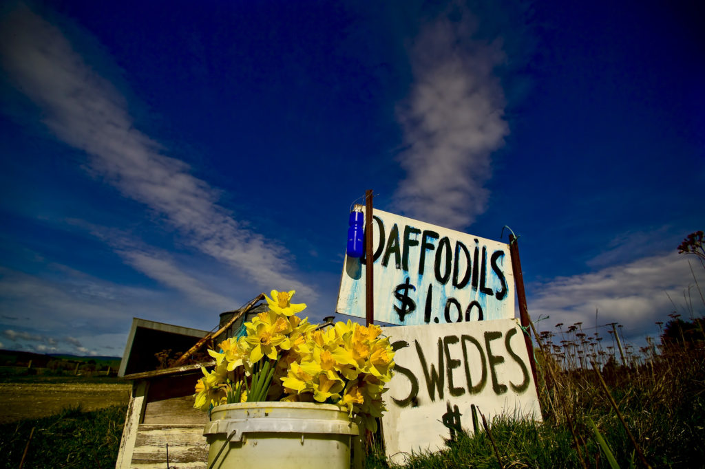 botanica, central-otago, in-the-heart-of-my-garden, new-zealand