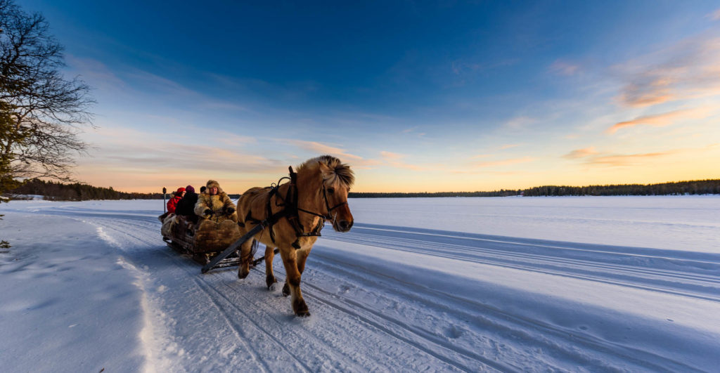 Mesna Activities and Accommodation