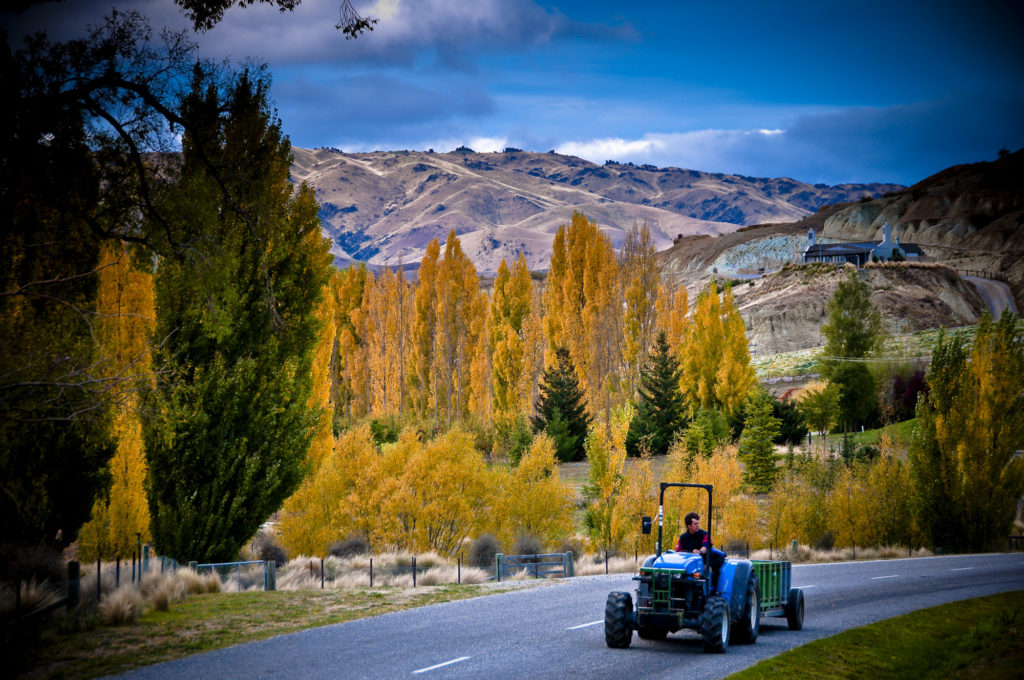 botanica, central-otago, in-the-heart-of-my-garden, new-zealand