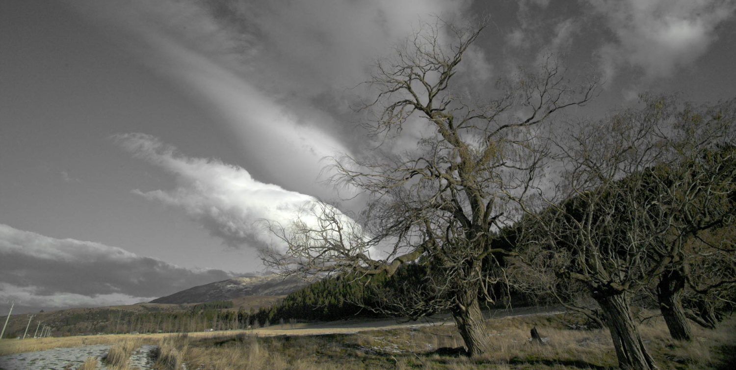 Luggate, New Zealand Aotearoa, Winter