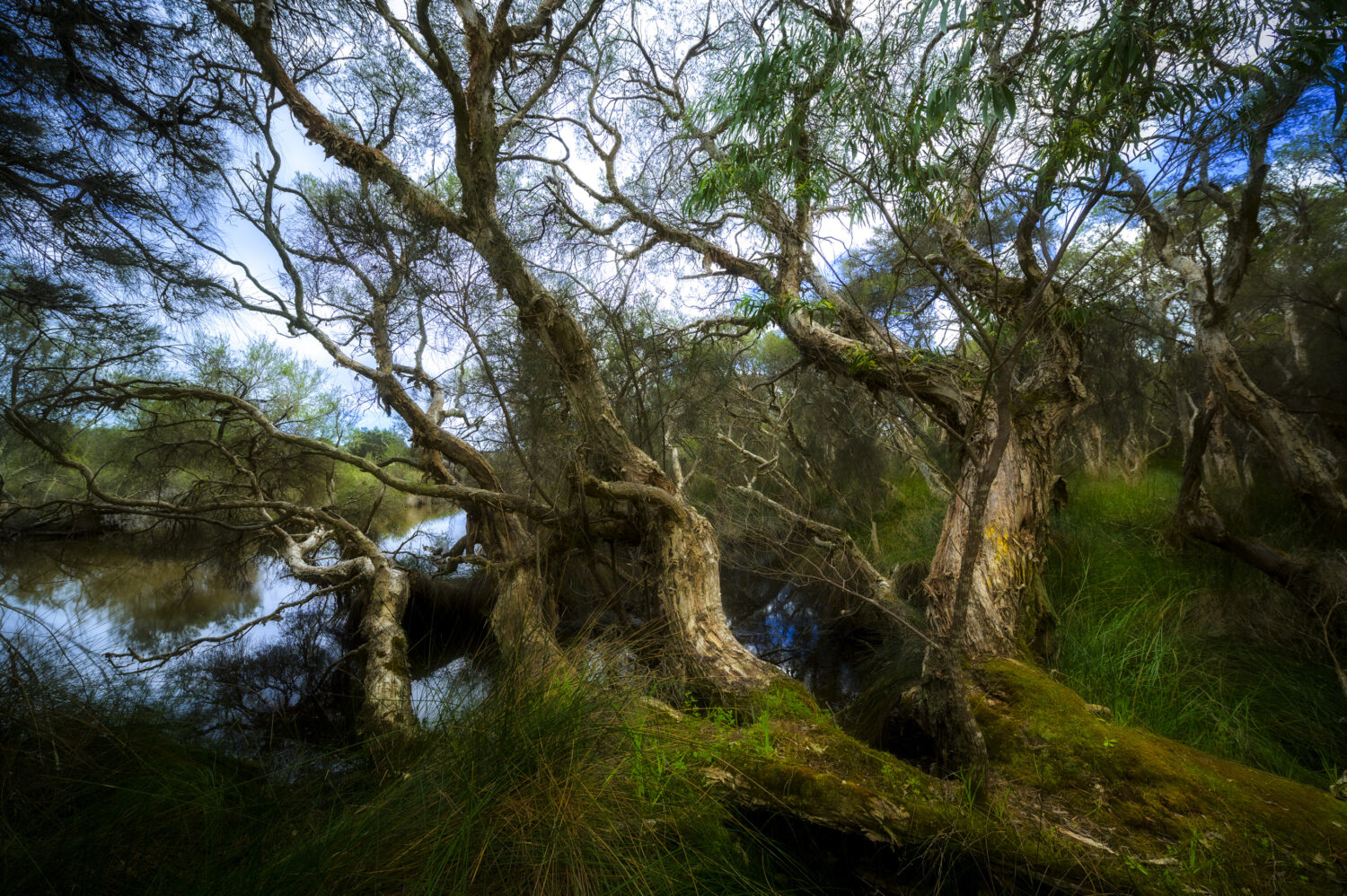 Kalgulup Regional Park