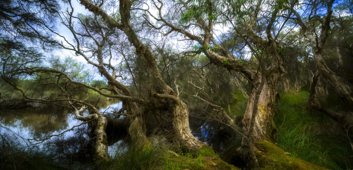 Kalgulup Regional Park
