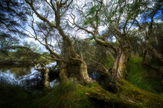 Kalgulup Regional Park