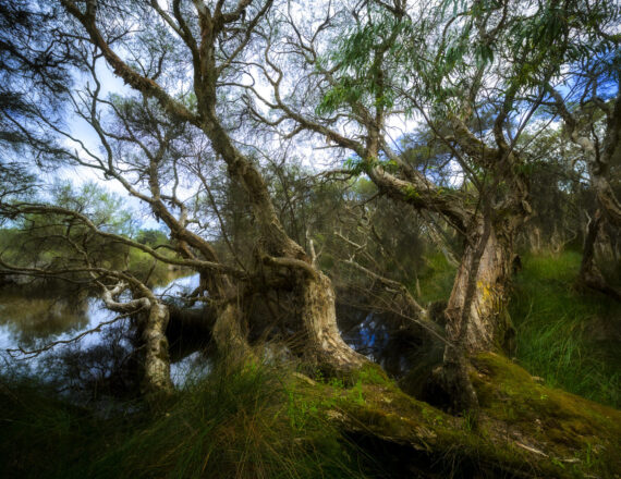 Kalgulup Regional Park