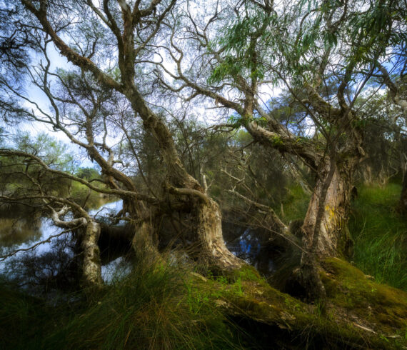 Kalgulup Regional Park